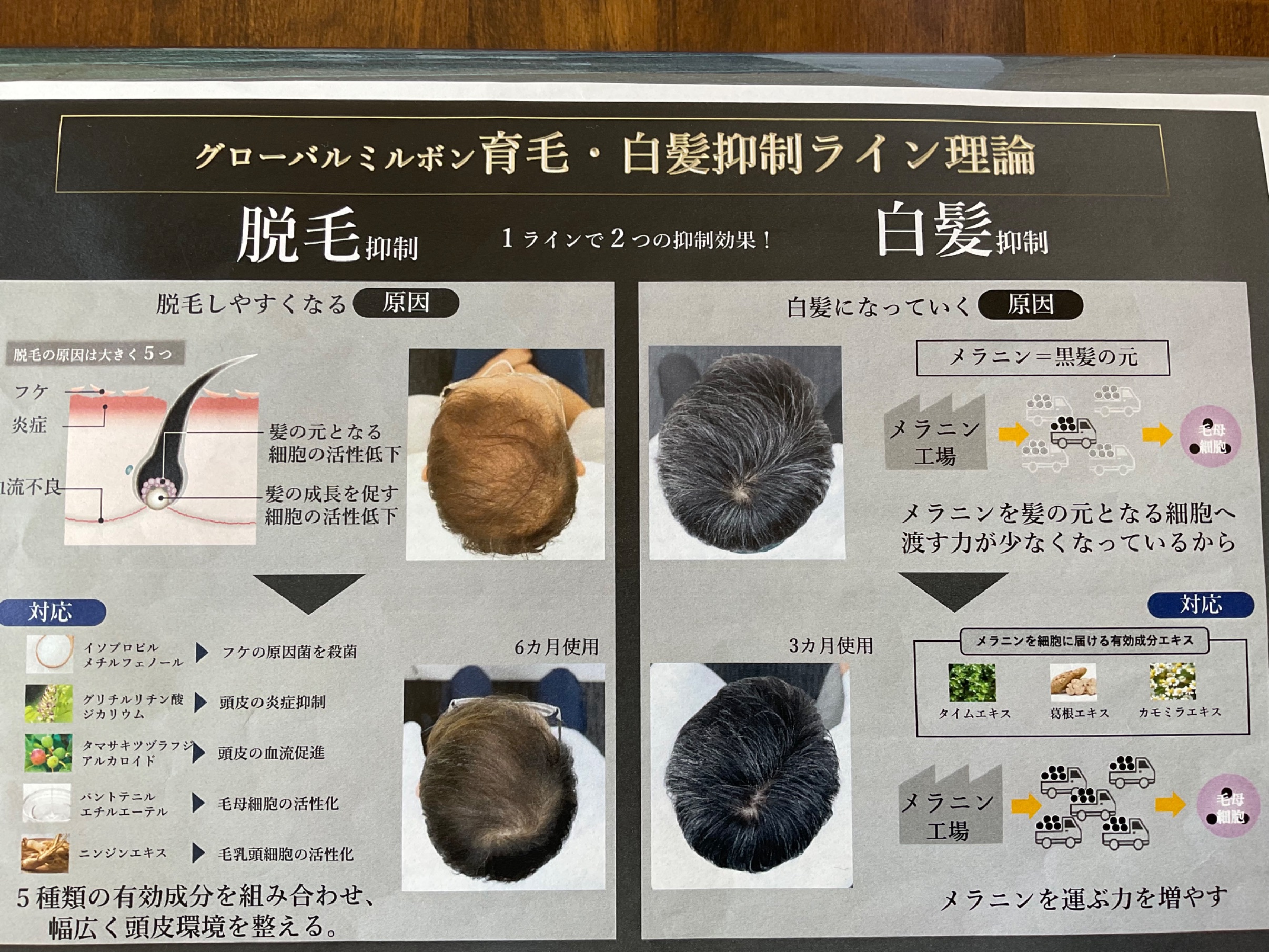 45C363AF-C9EE-46A6-8768-E1331BD9C427.jpg
